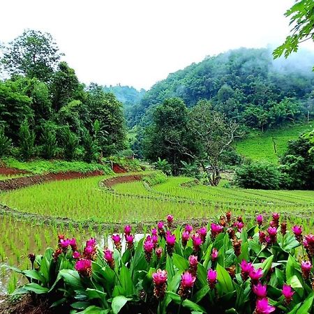 Kowitfarmstay Ban Mae Pan Noi Kültér fotó