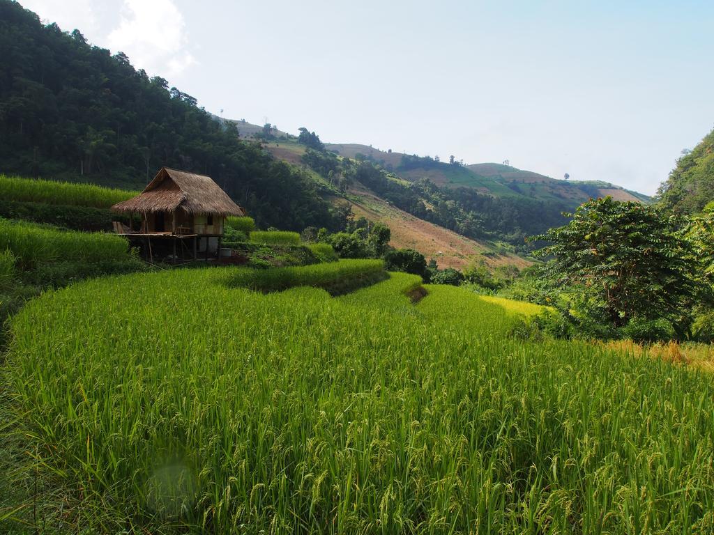 Kowitfarmstay Ban Mae Pan Noi Kültér fotó