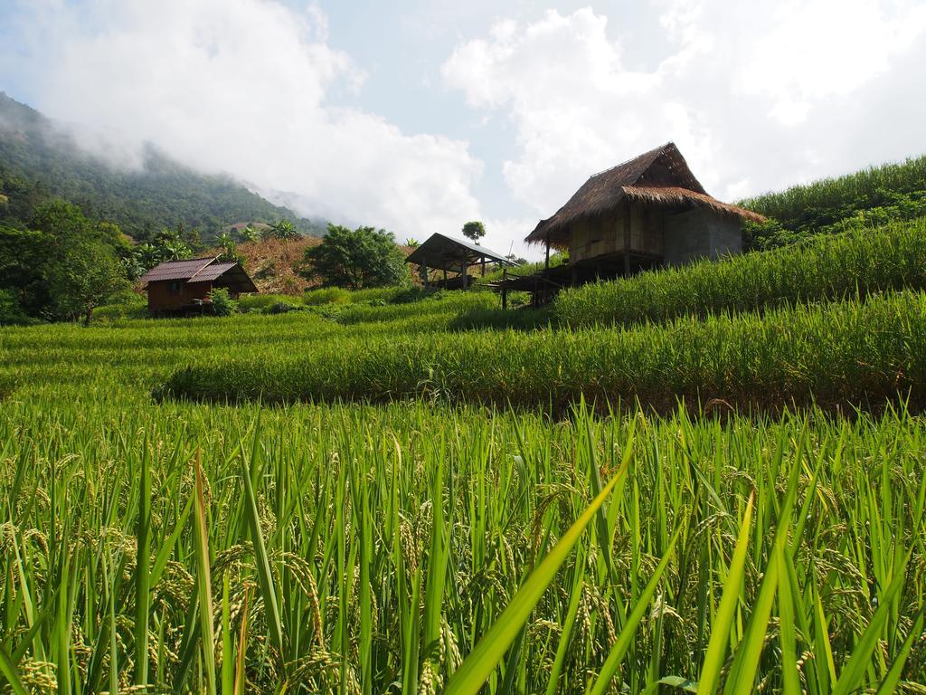 Kowitfarmstay Ban Mae Pan Noi Kültér fotó