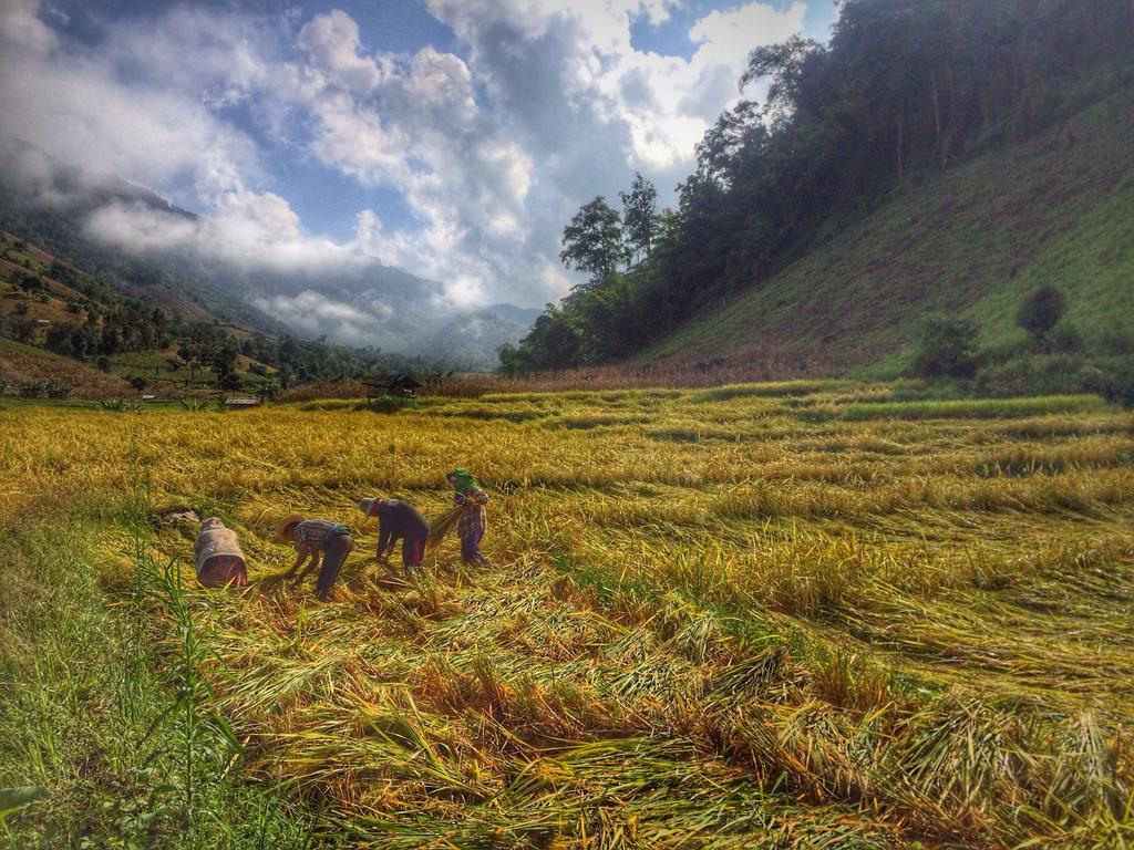 Kowitfarmstay Ban Mae Pan Noi Kültér fotó