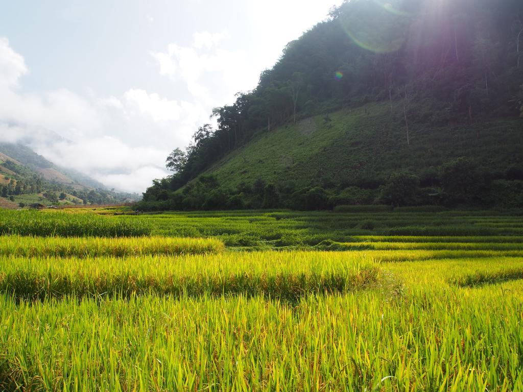 Kowitfarmstay Ban Mae Pan Noi Kültér fotó