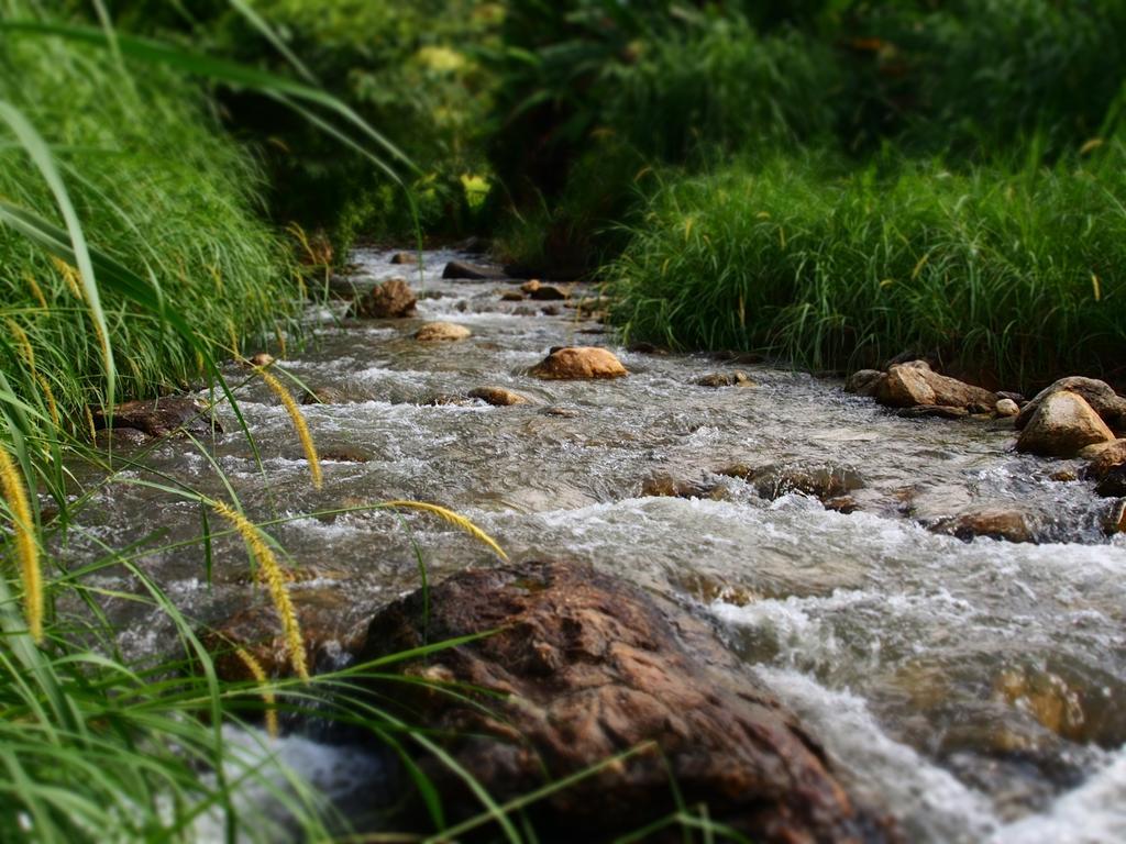 Kowitfarmstay Ban Mae Pan Noi Kültér fotó