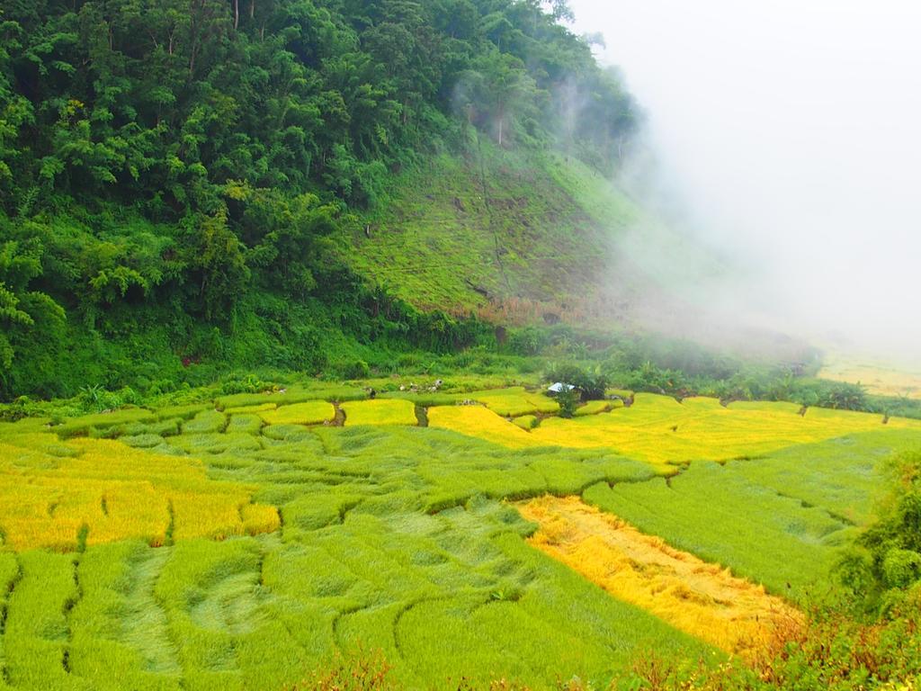 Kowitfarmstay Ban Mae Pan Noi Kültér fotó