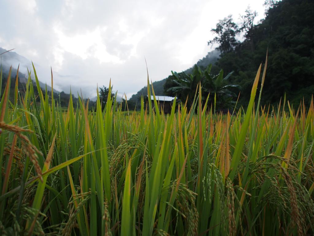 Kowitfarmstay Ban Mae Pan Noi Kültér fotó