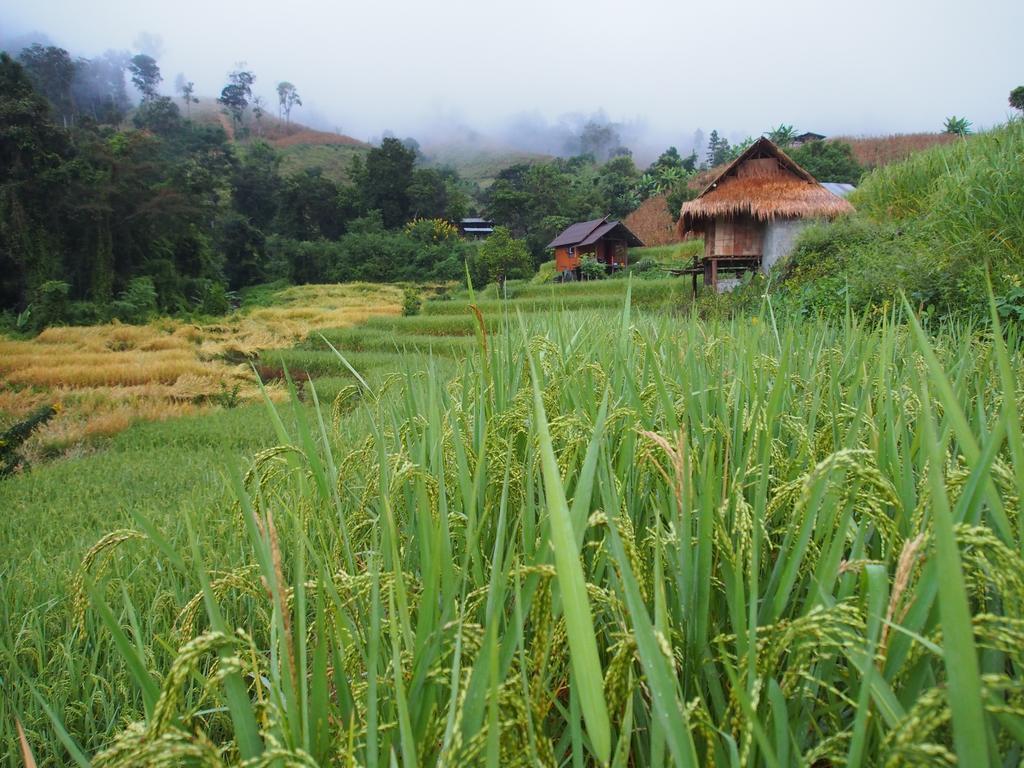 Kowitfarmstay Ban Mae Pan Noi Kültér fotó