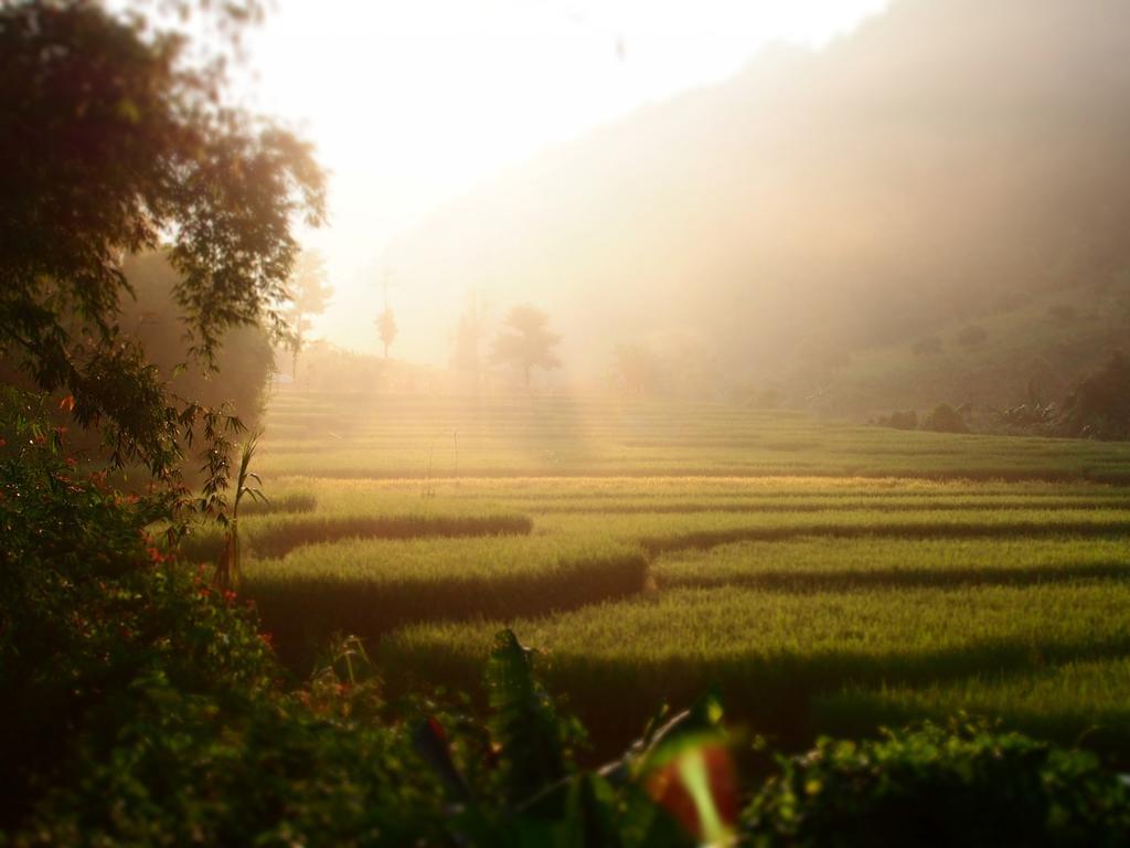 Kowitfarmstay Ban Mae Pan Noi Kültér fotó