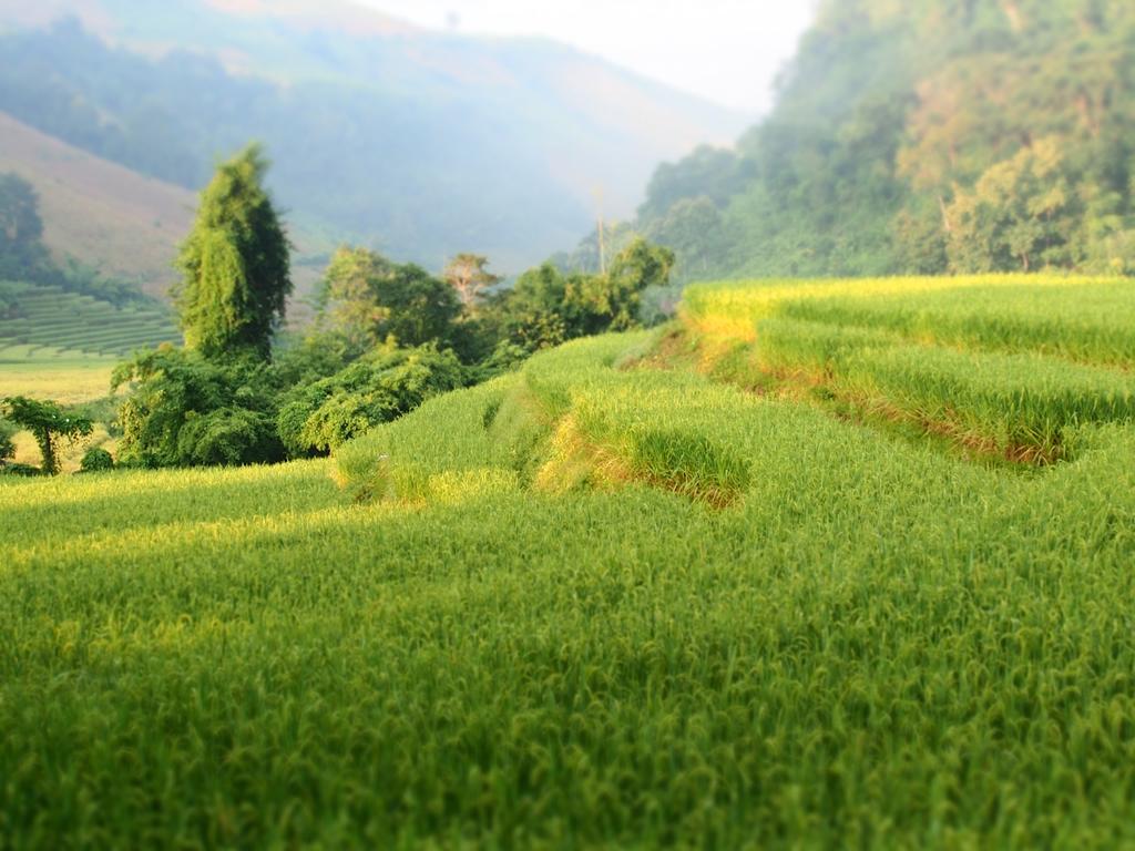 Kowitfarmstay Ban Mae Pan Noi Kültér fotó