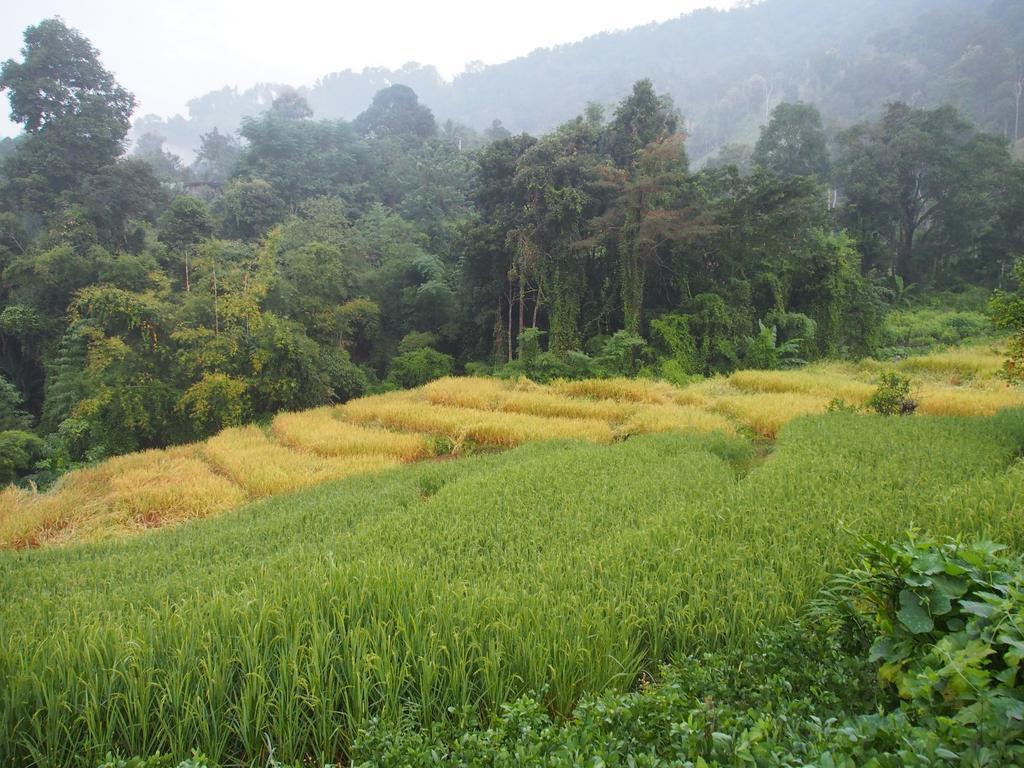 Kowitfarmstay Ban Mae Pan Noi Kültér fotó
