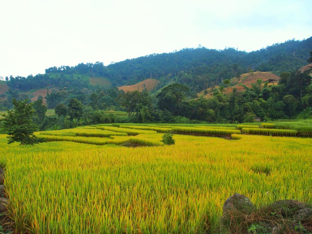 Kowitfarmstay Ban Mae Pan Noi Kültér fotó