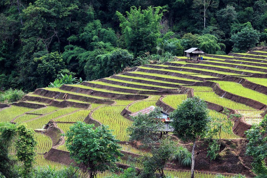 Kowitfarmstay Ban Mae Pan Noi Kültér fotó