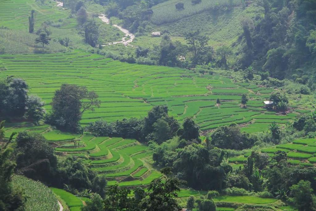 Kowitfarmstay Ban Mae Pan Noi Kültér fotó