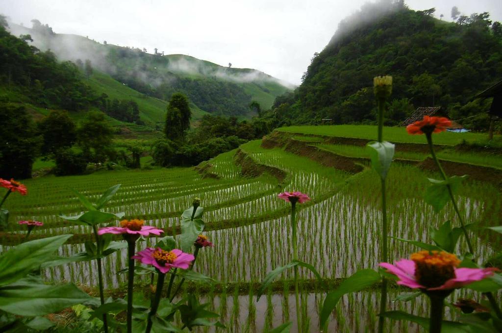 Kowitfarmstay Ban Mae Pan Noi Kültér fotó