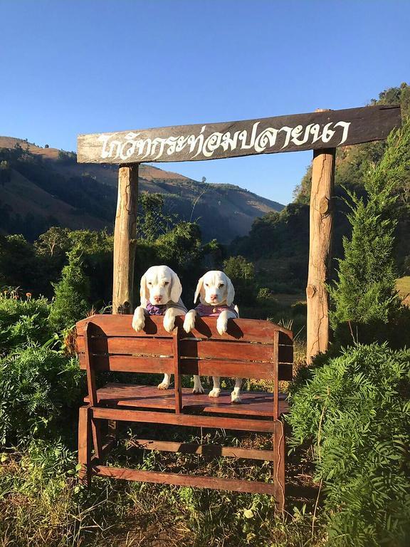 Kowitfarmstay Ban Mae Pan Noi Kültér fotó